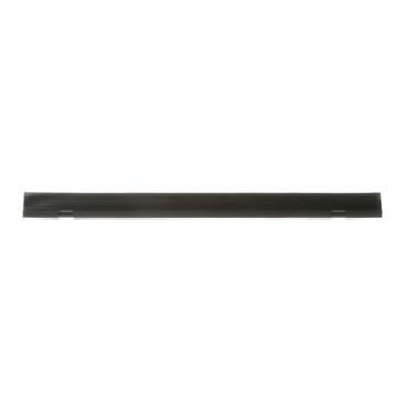 GE DDT700SBN2TS Dishwasher Tub Trim (Black) - Genuine OEM