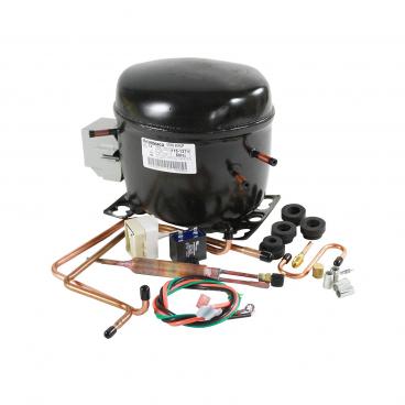 GE DTS18ICSNRBB Compressor Kit (EGYS60) Genuine OEM