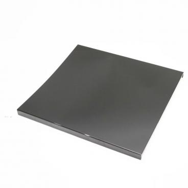 GE GFLD560N10BB Outer Door Panel (Black) - Genuine OEM