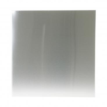 GE GLDA696M01SS Outer Door Panel (Stainless) - Genuine OEM
