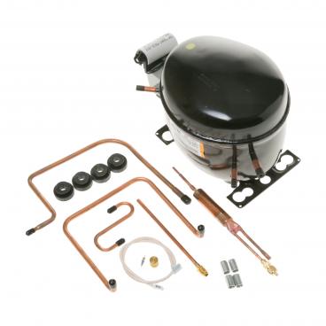 GE PCK23NHSCFWW Compressor Kit (R134A) - Genuine OEM