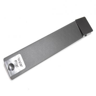 GE PFE29PSDDSS Filter Door (Dark Grey) - Genuine OEM