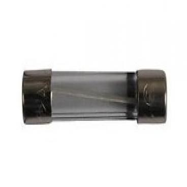 GE QVM7167RN1SS Fuse - Genuine OEM