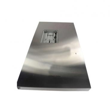 Fisher and Paykel Part# 860202P Door Assembly (OEM)