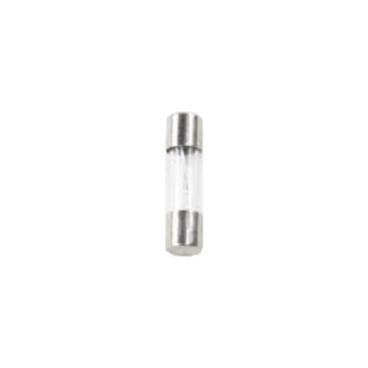Saeco Part# 996530025953 Fuse - Genuine OEM