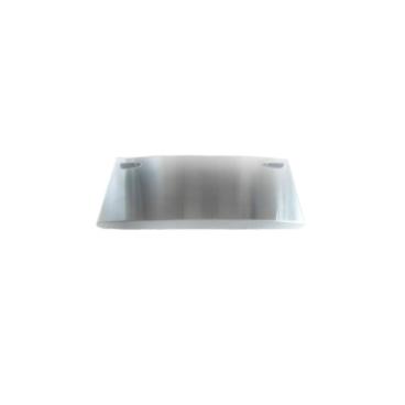 LG Part# ADC74207309 Door Assembly - Genuine OEM