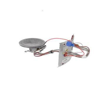 Rheem Part# AM44972 Door Burner Assembly - Genuine OEM