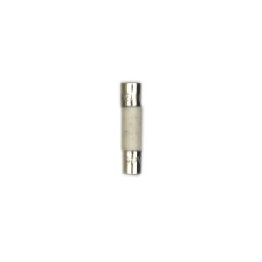 Samsung Part# BN81-04977A Fuse - Genuine OEM