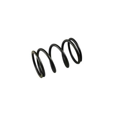 Homelite Part# DP246001 Valve Spring - Genuine OEM