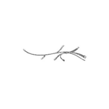 LG Part# EAD61674704 Multi Wire Harness - Genuine OEM