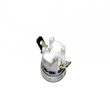 Delonghi Part# EH1256 Thermostat (OEM)