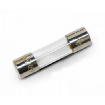 Alliance Laundry Systems Part# F350141 Fuse 3.15A SLOBLO 5X20mm (OEM)