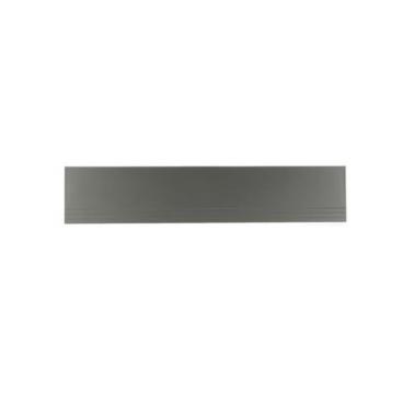 Hisense Part# G554255 Kick Plate - Genuine OEM