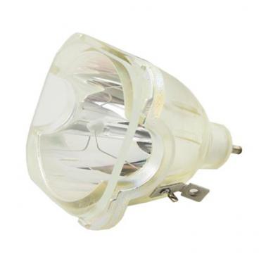 Samsung Part# BP96-01073A TV Lamp Assembly (OEM)