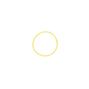 Dewalt Part# N075339 O-Ring - Genuine OEM