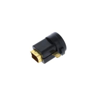 Dewalt Part# N172018 Brush Holder - Genuine OEM