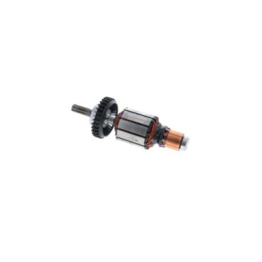 Dewalt Part# N415905 Armature Bearing - Genuine OEM