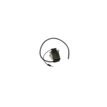 Echo Part# P200001660 Ignition Coil - Genuine OEM