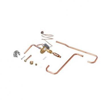 Rheem Part# RXCT-CHA Expansion Valve Kit (OEM)