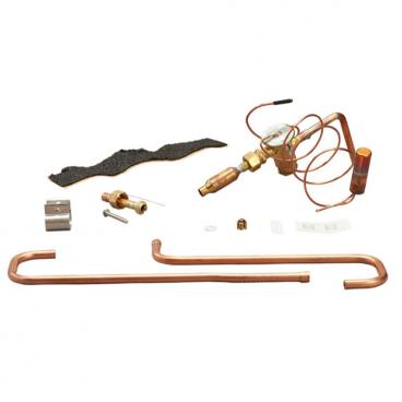 Rheem Part# RXCT-CHL EXPANSION VALVE KIT (OEM)
