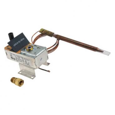 Rheem Part# SP11806 High Limit-Commercial Electric (OEM)