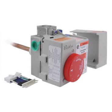 Rheem Part# SP20162 LP Gas Control Valve Replacement Kit (OEM)
