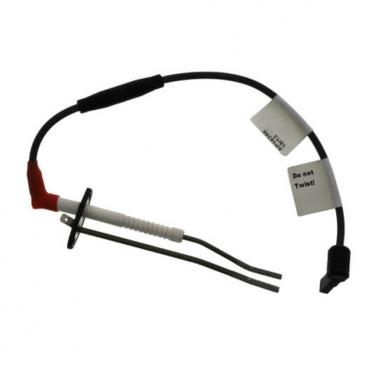 Rheem Part# SP20716 Direct Spark Ignitor Kit (OEM)