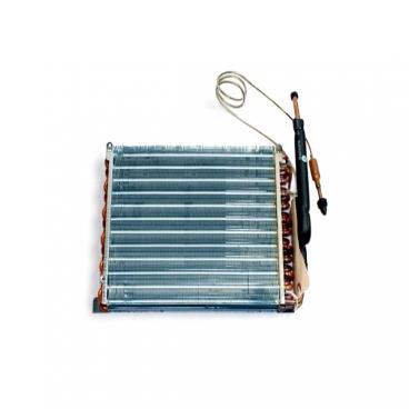 Delonghi Part# TL1608 Battery (OEM)