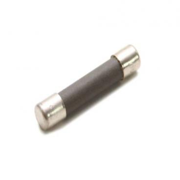 GE Part# WB27X10832 Fuse (OEM)