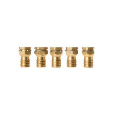 GE Part# WB28T10229 Conversion Kit (OEM) Butane