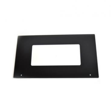 GE Part# WB36X10118 Door Screen (OEM)