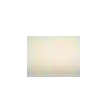 GE Part# WB56X31925 Liner Glass Door - Genuine OEM