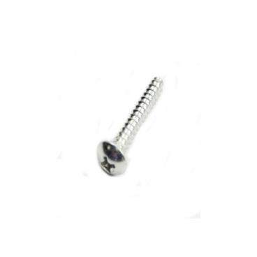 Haier Part# WD-6150-245 Screw (OEM)