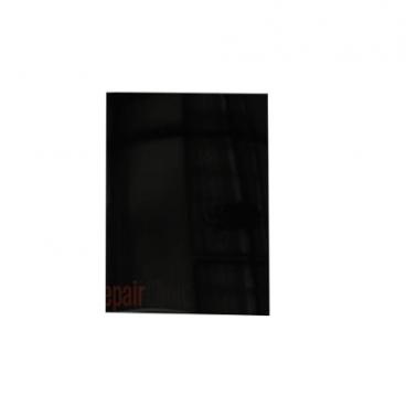 GE Part# WD31X10107 Outer Door Panel (OEM) Bk