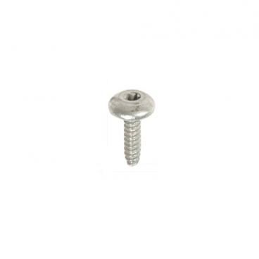 GE Part# WE-2M163 Screw (OEM)