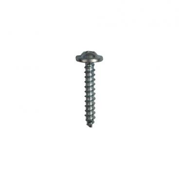 GE Part# WE02X10007 Screw (OEM) 10-14 X 100