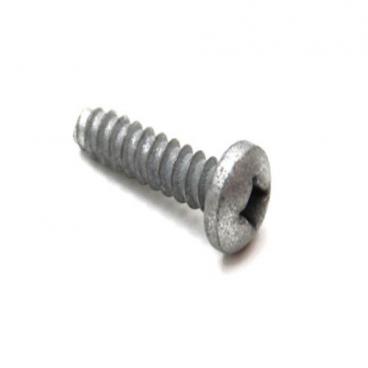 GE Part# WE02X10017 Door Screw (OEM)