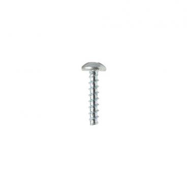 GE Part# WE2M174 Screw (OEM) # 10