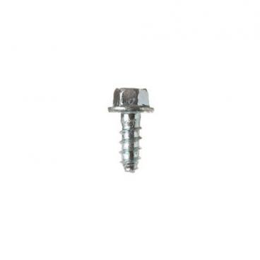 GE Part# WE2M307 Screw (OEM)