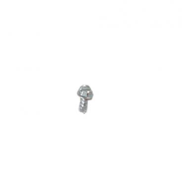 Whirlpool Part# WPW10139210 Screw (OEM)