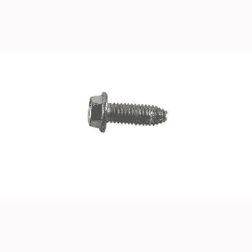 GE Part# WB1K76 Screw (OEM)