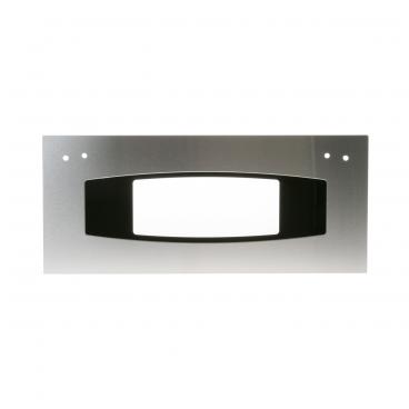 GE Part# WB56X10328 Door Assembly (OEM)