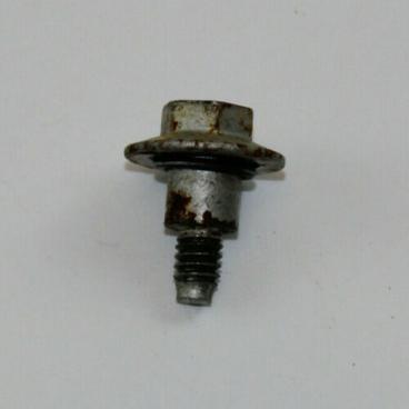 GE Part# WH2X765D Screw (OEM)