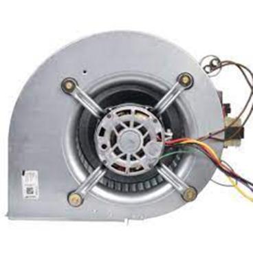 Rheem Part# AS-67876-49 BLOWER ASSEMBLY (OEM)