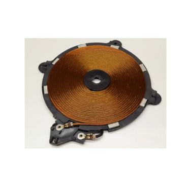 Samsung Part# DG96-00169A Working Coil (OEM)