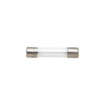 Frigidaire Part# 5304464087 Fuse (OEM)