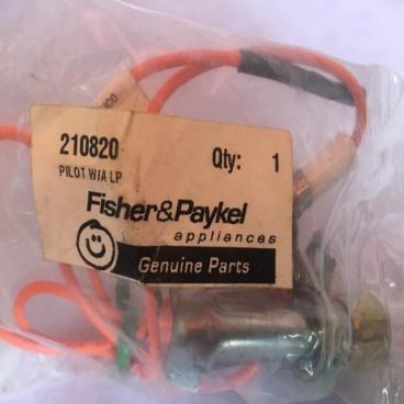 Fisher and Paykel Part# 210820 Pilot w/ A LP (OEM)