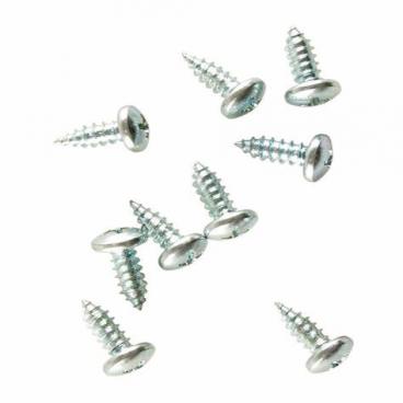 Fisher and Paykel Part# 290128 Unit Mounting Screw (OEM)