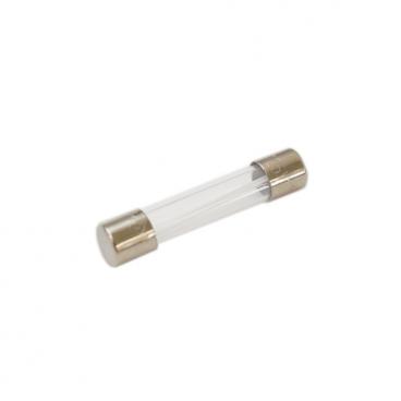 Frigidaire MWV150KBA Fuse - Genuine OEM