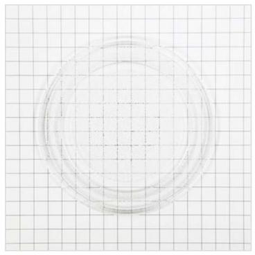 GE JE1340WB01 Rotating Glass Cooking Tray - Genuine OEM